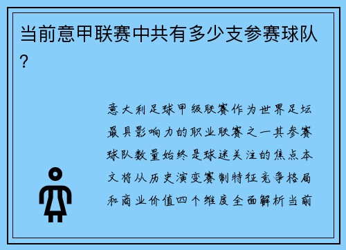 当前意甲联赛中共有多少支参赛球队？